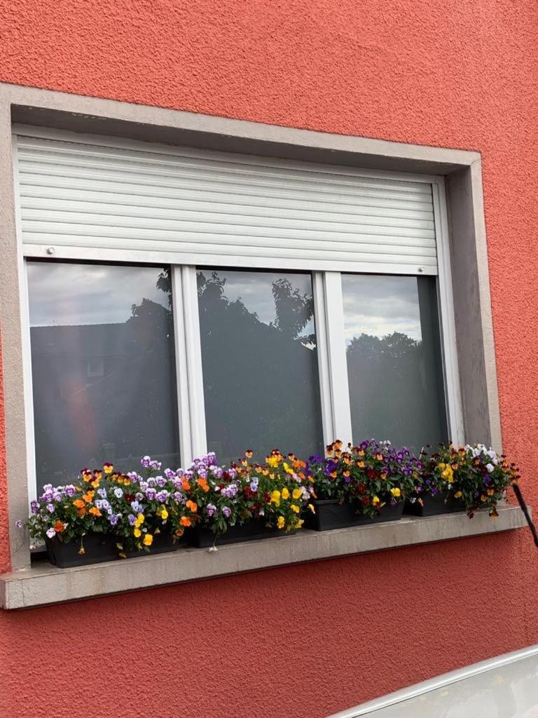 Appartamento Couleur Framboise Longwy Esterno foto