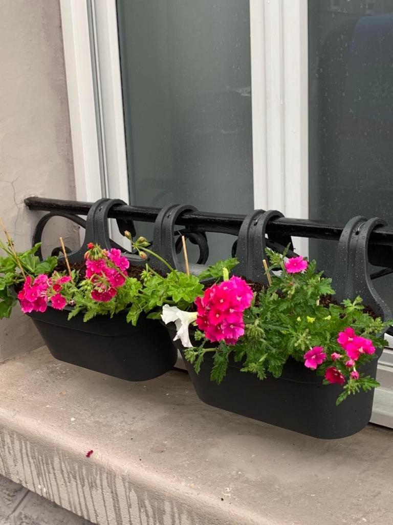 Appartamento Couleur Framboise Longwy Esterno foto